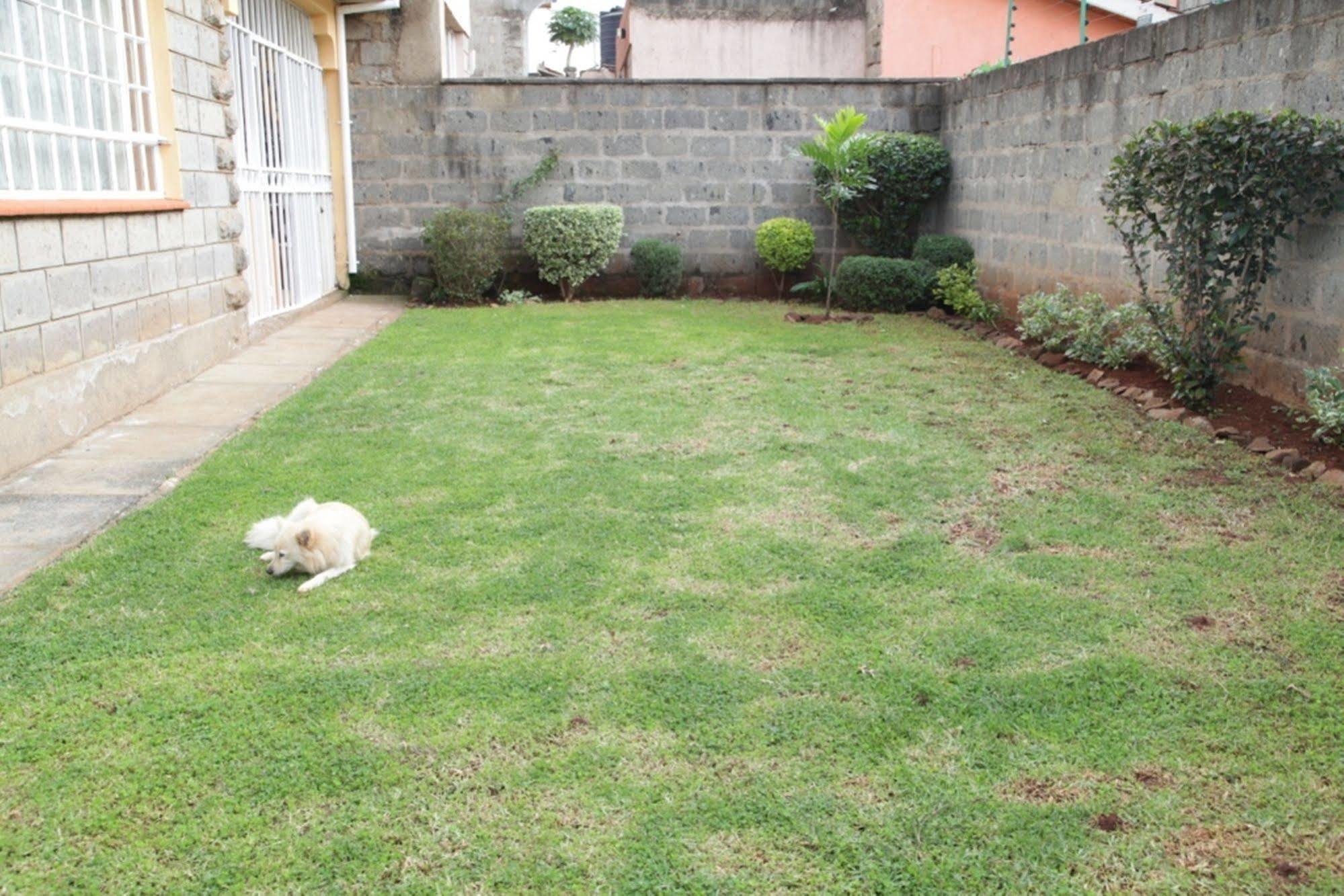 Mdawida Homestay Nairobi Eksteriør bilde